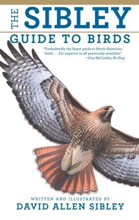 Best-selling book, The Sibley Guide to Birds