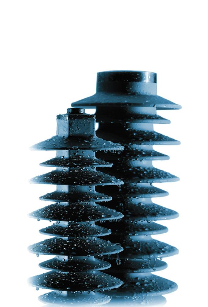 Momentive Electro LSR 242-1 Protecting Utility Insulators Against Harsh Climate and Pollution in Northern Siberian City