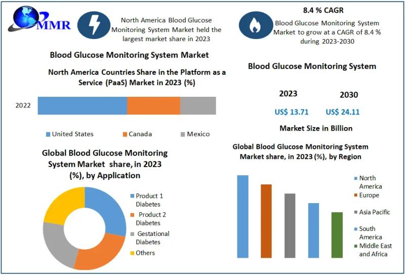 Blood Glucose Monitoring System Market