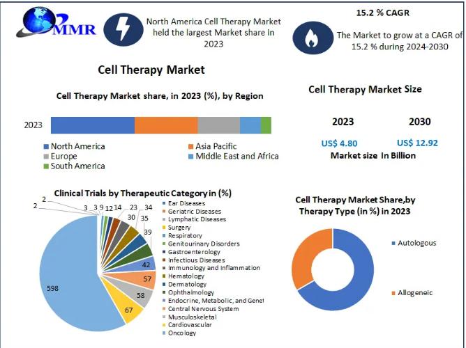 Global Cell Therapy Market Share Size Projected To Reach Usd