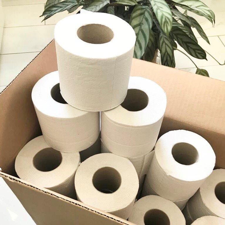 Setting up an Toilet Paper Manufacturing Plant Report 2024: