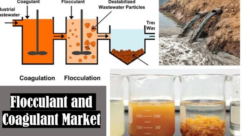 Flocculant & Coagulant Market