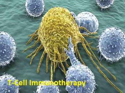 T-Cell Immunotherapy Market