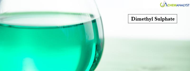 Track Dimethyl Sulphate Price Index Historical and Forecast