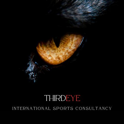 The ThirdEYE International Sports Consultancy