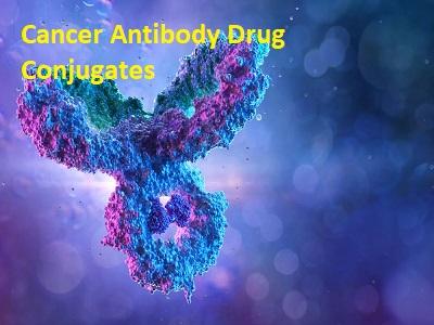 Cancer Antibody Drug Conjugates Market