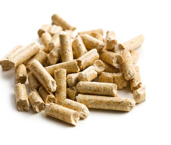 Wood Pellets Market To Expand Significantly By 2024 Canfor   L108926146 G 