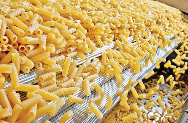 Pasta Manufacturing Plant Setup | Detailed Project Report 2024