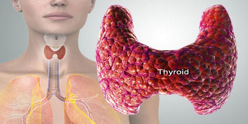 Thyroid Deficiency Treatment Market Industry Key Players,