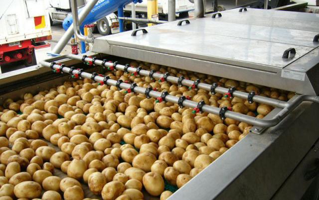 Potato Processing Market 2024 Expert Review Demands Share   L110699908 G 