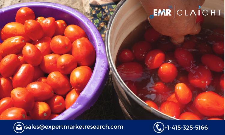 North America Tomato Processing Market Size, Share, Growth