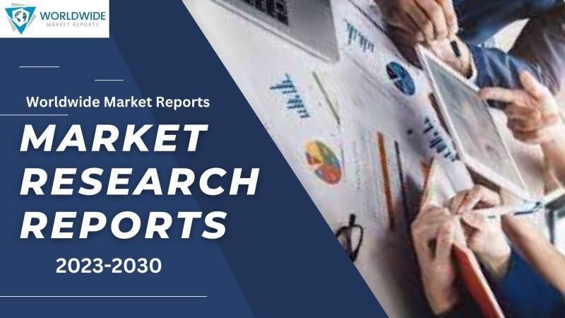 Paint Remover Market 2023-2030: New Horizons and Comprehensive Growth  Analysis