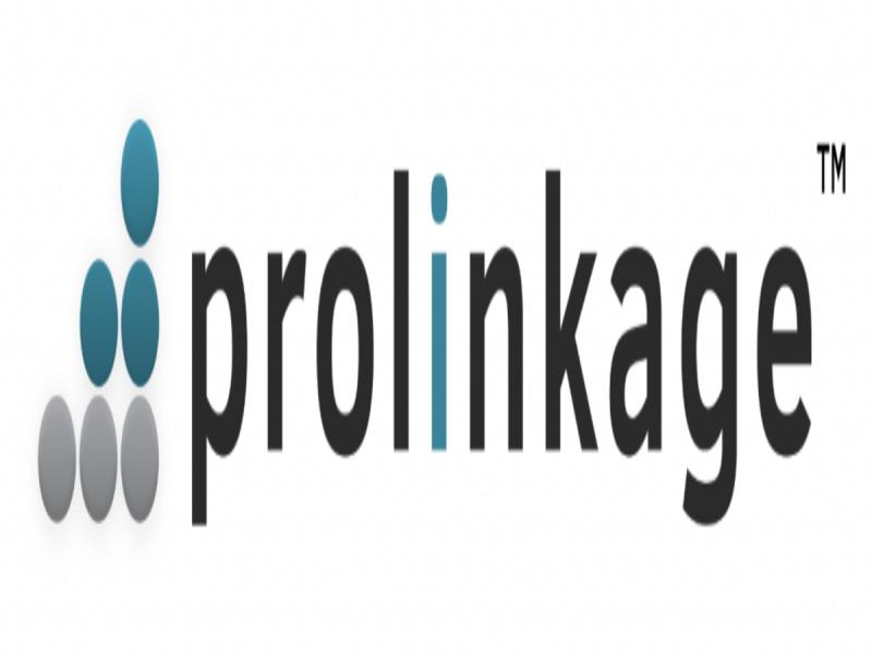 Prolinkage Becomes a Google Ads Partner Agency, Achieving Outstanding Results in Local SEO and Digital Advertising for Businesses
