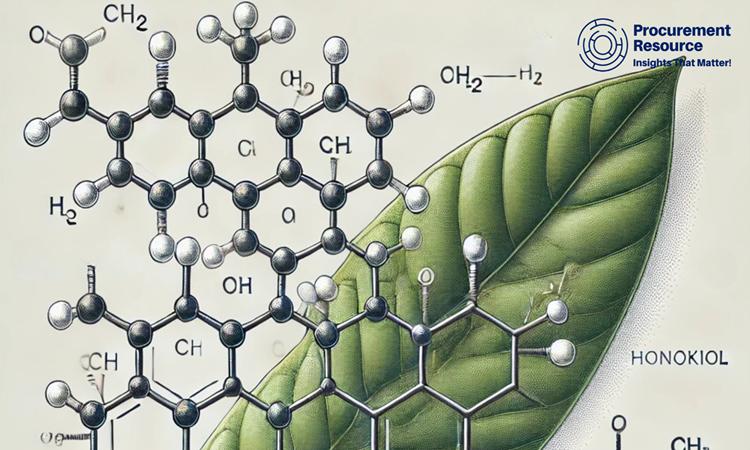 The Honokiol production industry presents immense potential, driven by growing demand and innovative applications.