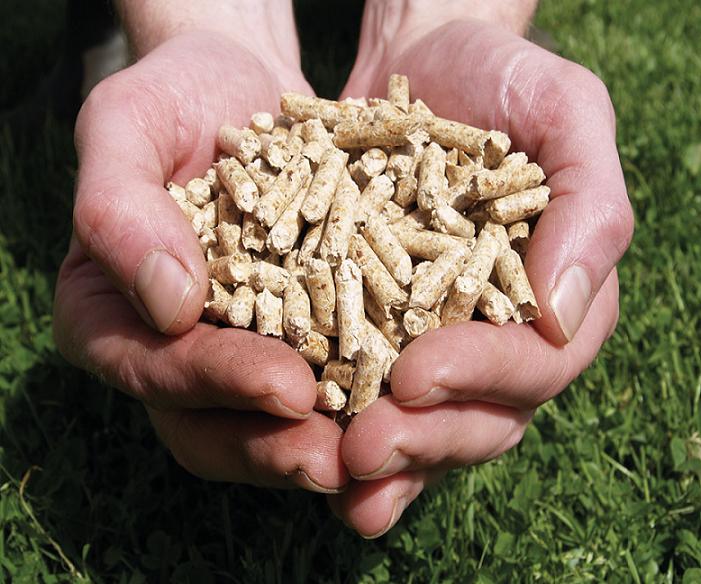 Wood Pellet Fuel Market to Grow with 7.73% CAGR through 2027 |