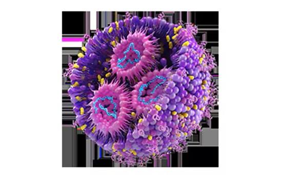 Global Synthetic Lipid Market is projected to reach USD 3.29