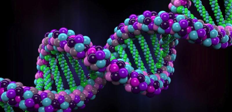 Animal Genetics Market will touch a new level in upcoming year