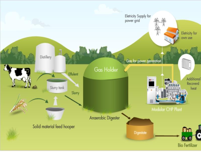 Biogas Energy Solution Market