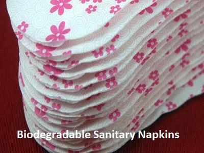 Biodegradable Sanitary Napkins Market