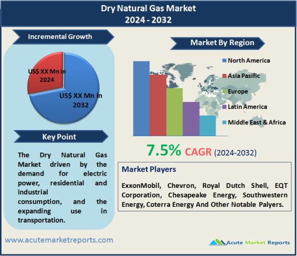 Dry Natural Gas Market - Growth, Share, Opportunities & Competitive Analysis, 2024 - 2032