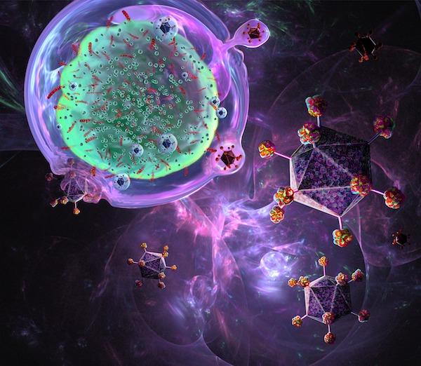 North America T Cell Therapy Market Revenue, Growth Rate,