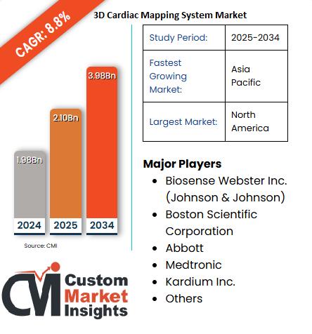 3D Cardiac Mapping System Market