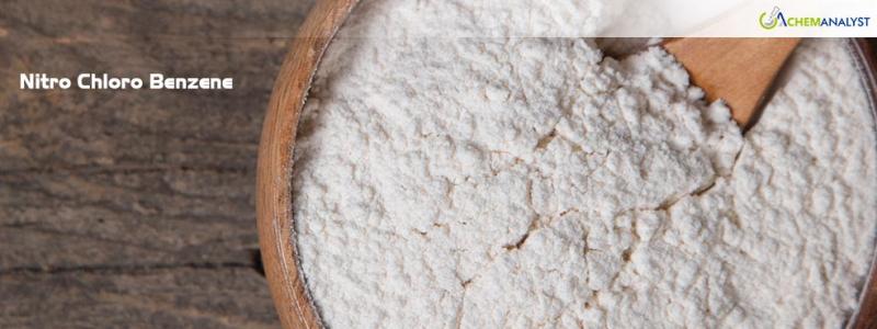 Track Nitro Chloro Benzene Price Report Historical and Forecast