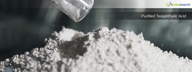 Track Purified Terephthalic Acid (PTA) Price Trend Historical