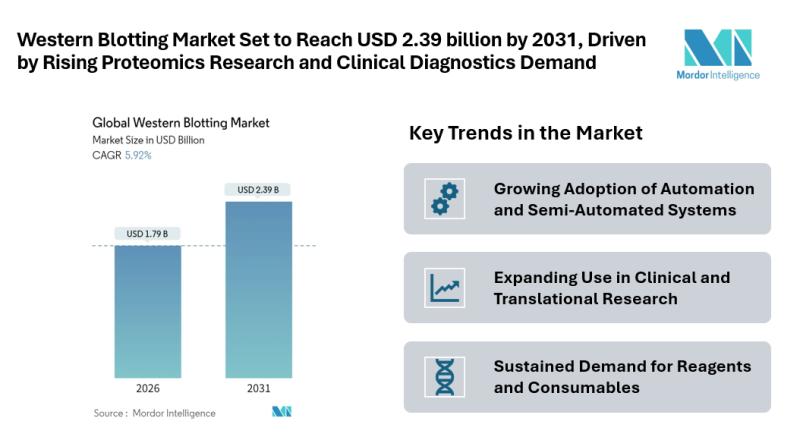 Western Blotting Market Size & Trends | Mordor Intelligence