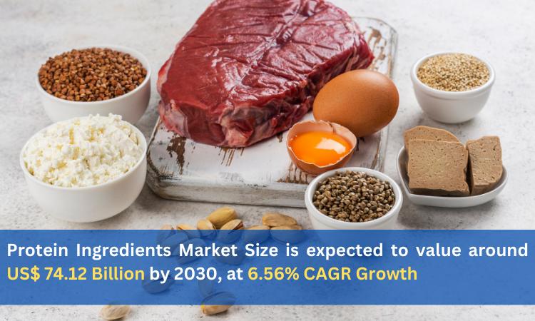 Protein Ingredients Market Size is expected to value around US$