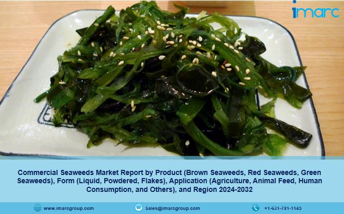 Commercial Seaweeds Market 2024 Predicted To Achieve US 42 3   L124713177 G 