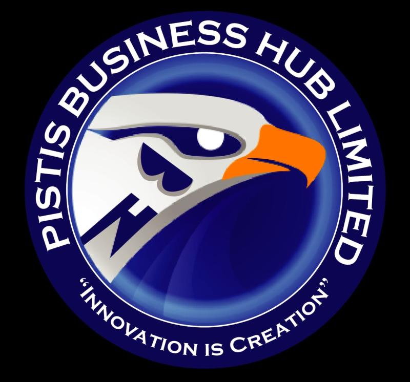 Near-term priorities include completing a customer-validated pilot rollout, building financial projections