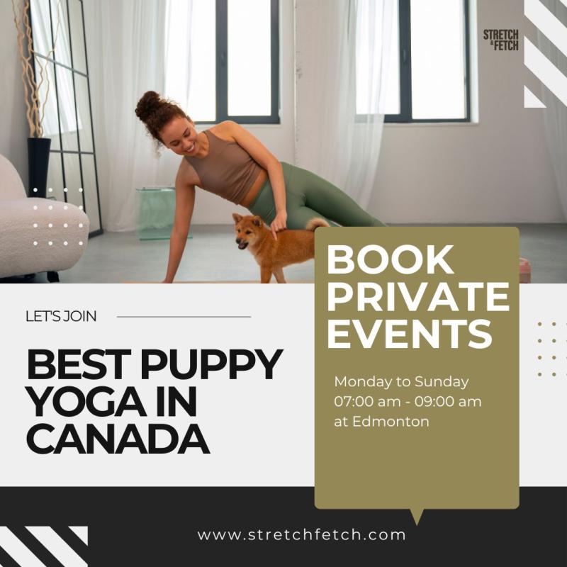 Puppy Yoga in Edmonton Introduces a New Way to Relax and Reconnect