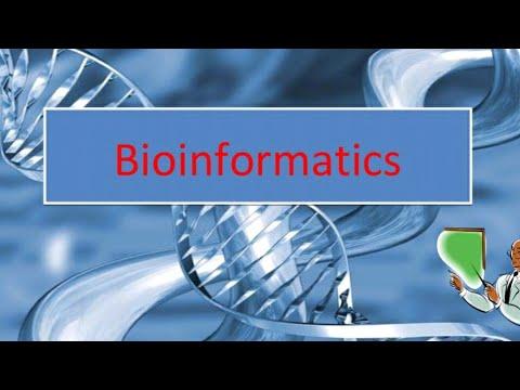 Bioinformatics Market