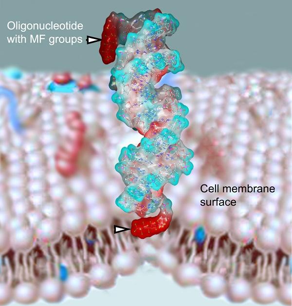 Oligonucleotide Synthesis Market