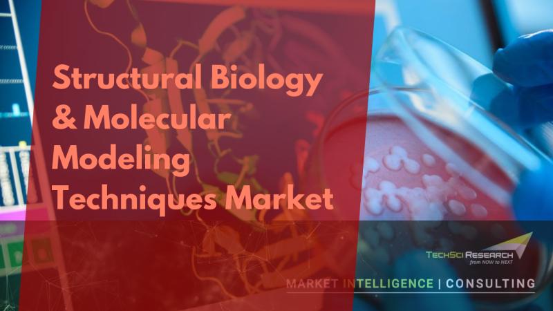 Structural Biology & Molecular Modeling Techniques Market -
