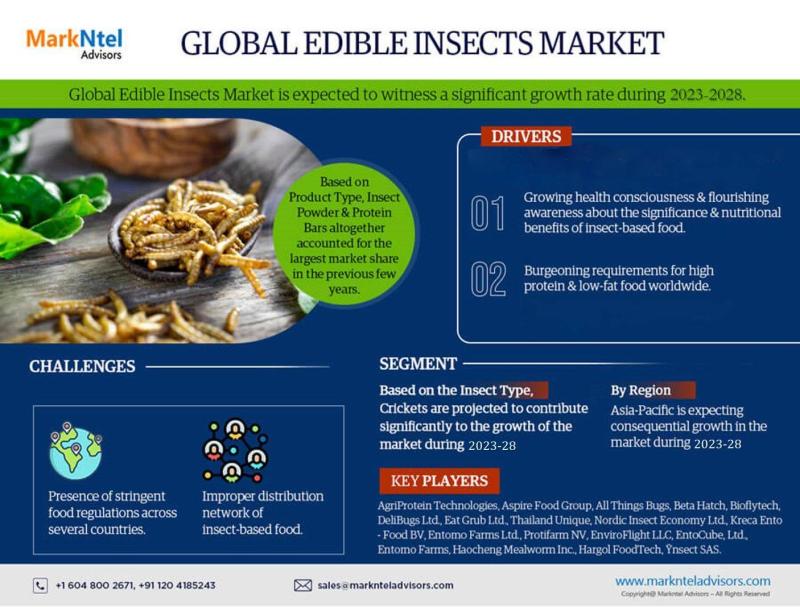 Edible Insects Market Size, Growth, and Industry Statistics |