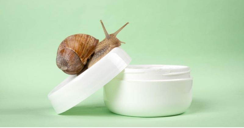 Snail Beauty Products Market