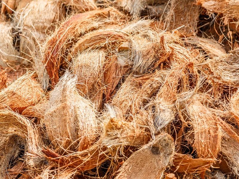 Coir Fibre Manufacturing Plant Project Report