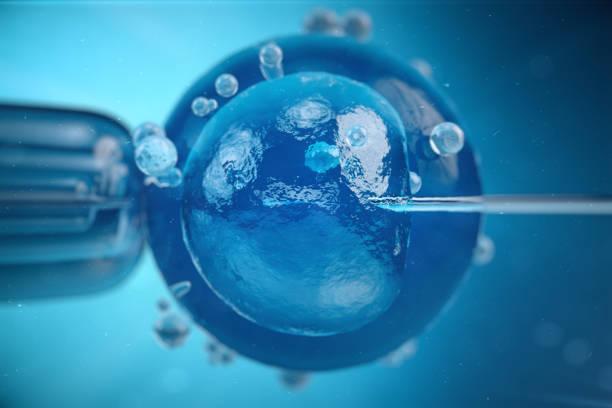 Synthetic Stem Cells Market Presents a Strategic Forecast