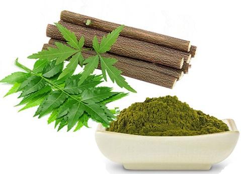 Neem Extracts Market