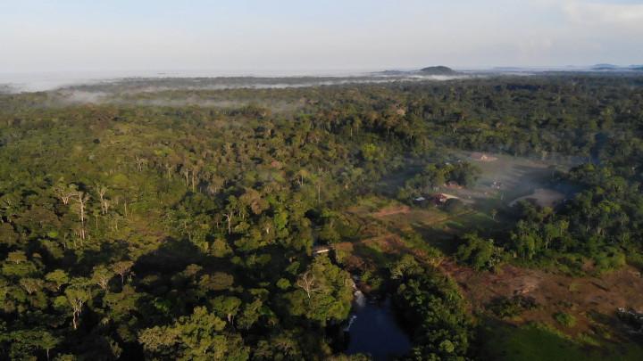 Aerial view of ASOMIVA's 362-hectare gold concession in the Taraira Gold Belt, Vaupes, Colombian Amazon.