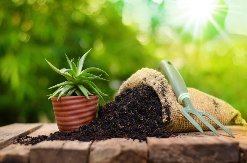 Organic Fertilizer Market to Grow with a CAGR of 11.32% through 2028 | TechSci Research