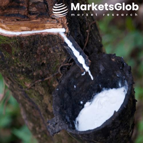 The global Natural Rubber (Latex) Market size reached 11200 USD Million in 2023