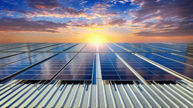 Solar Power on the Rise: Global Solar Panel Statistics, Facts, and Trends  of 2024