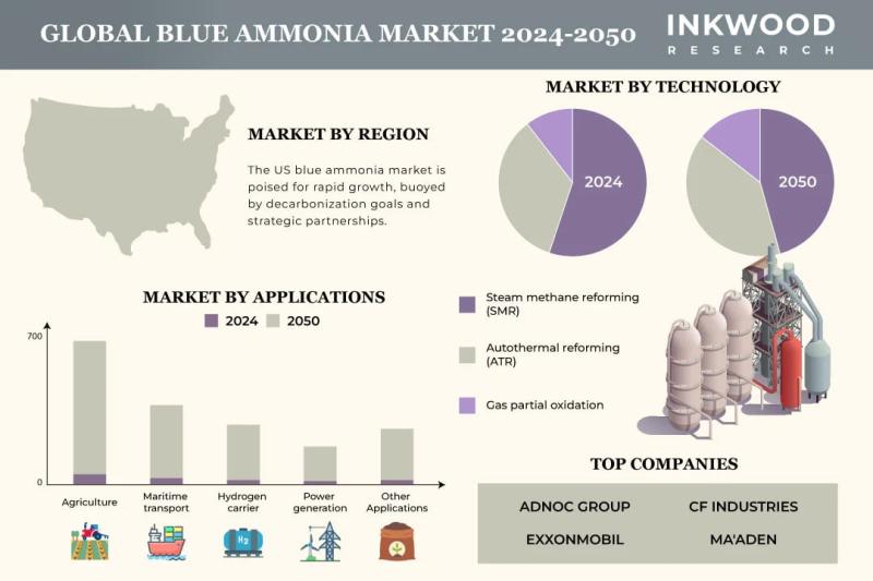 Global Blue Ammonia Market Outlook 2024 2050