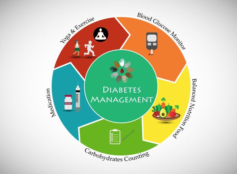 Digital Diabetes Management Market