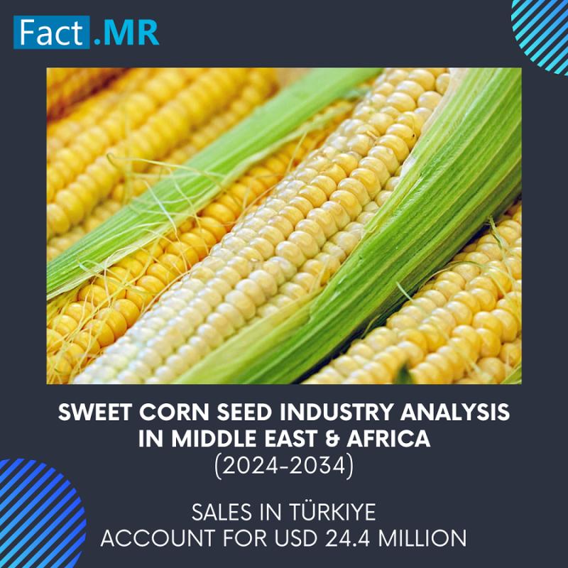 Sweet Corn Seed Industry Analysis in Middle East & Africa 2024