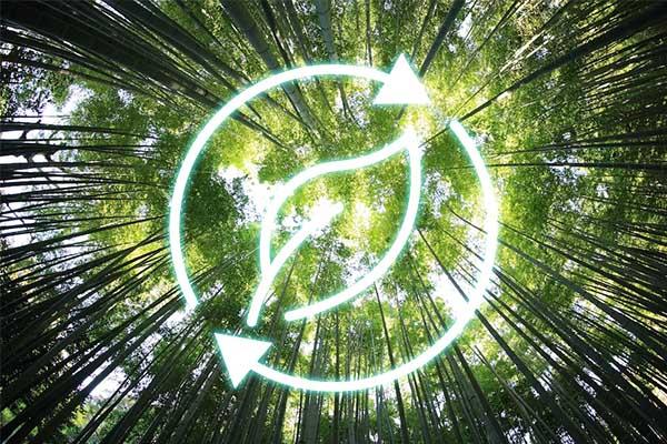 Bamboo Based Activated Carbon