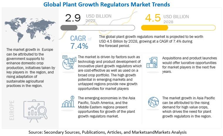 Exploring the Plant Growth Regulators Market: Trends,